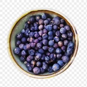 Png peppercorn sticker, food photography, | Free PNG - rawpixel