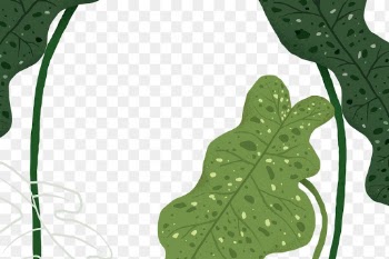 PNG philodendron plant sticker botanical… | Free stock illustration | High Resolution graphic