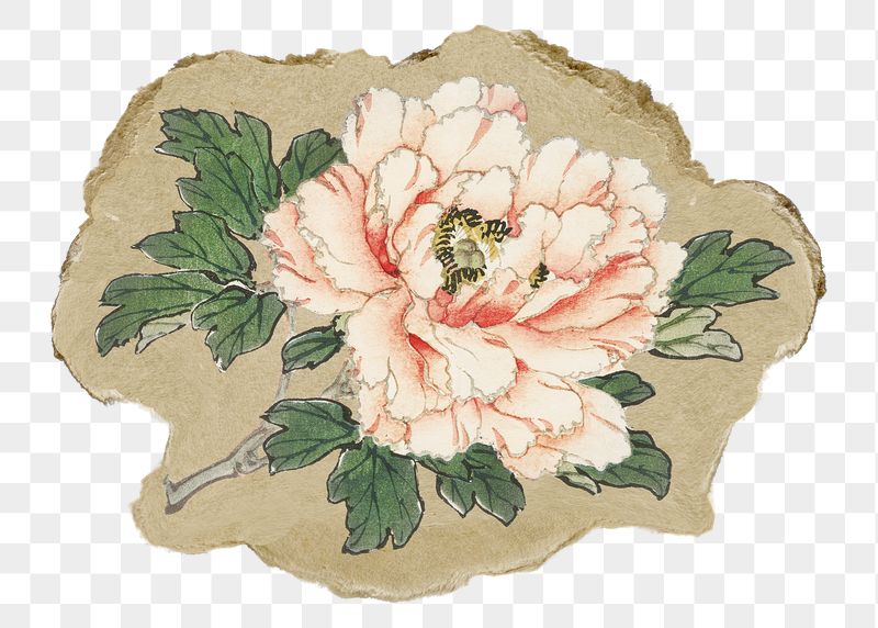 Png pink rose sticker, flower | Free PNG - rawpixel