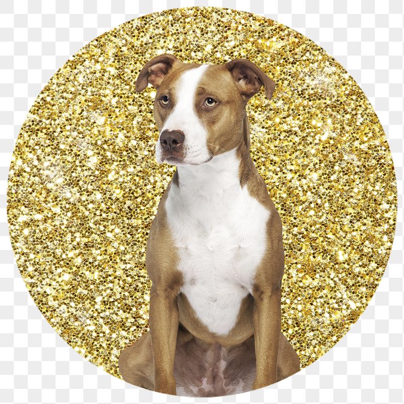 Png Pit bull terrier dog | Free PNG - rawpixel