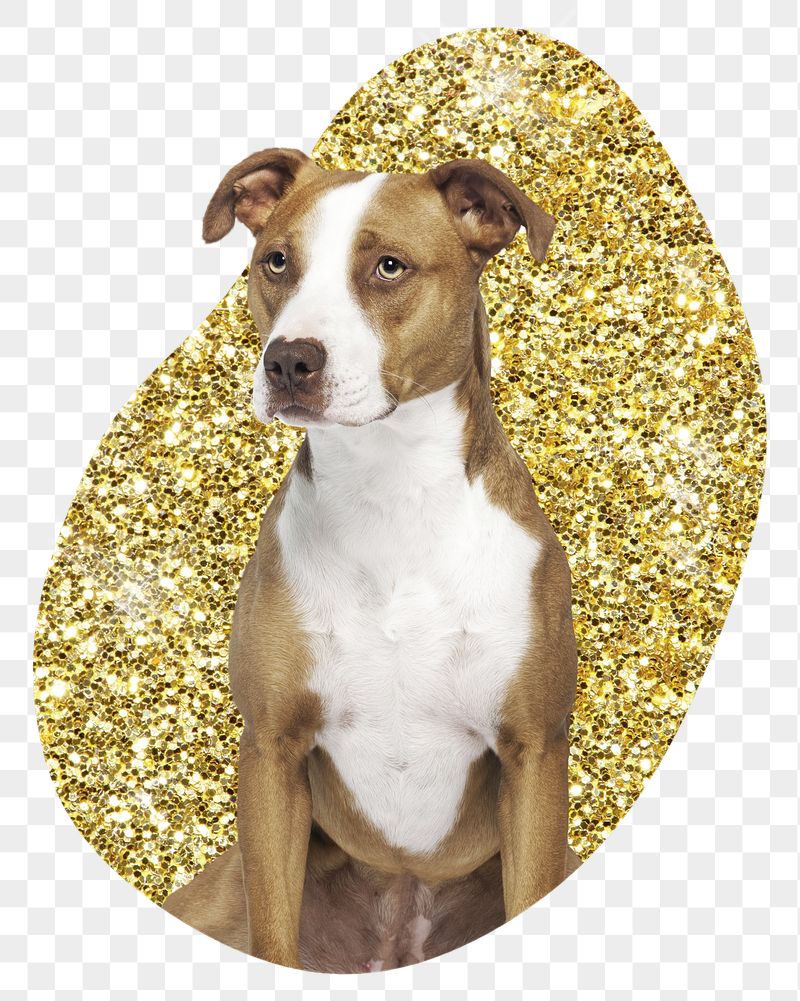 Png Pit bull terrier dog | Free PNG - rawpixel
