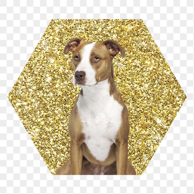 Png Pit bull terrier dog | Free PNG - rawpixel