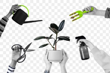 Png plant care hand mockups in black and… | Free stock illustration | High Resolution graphic