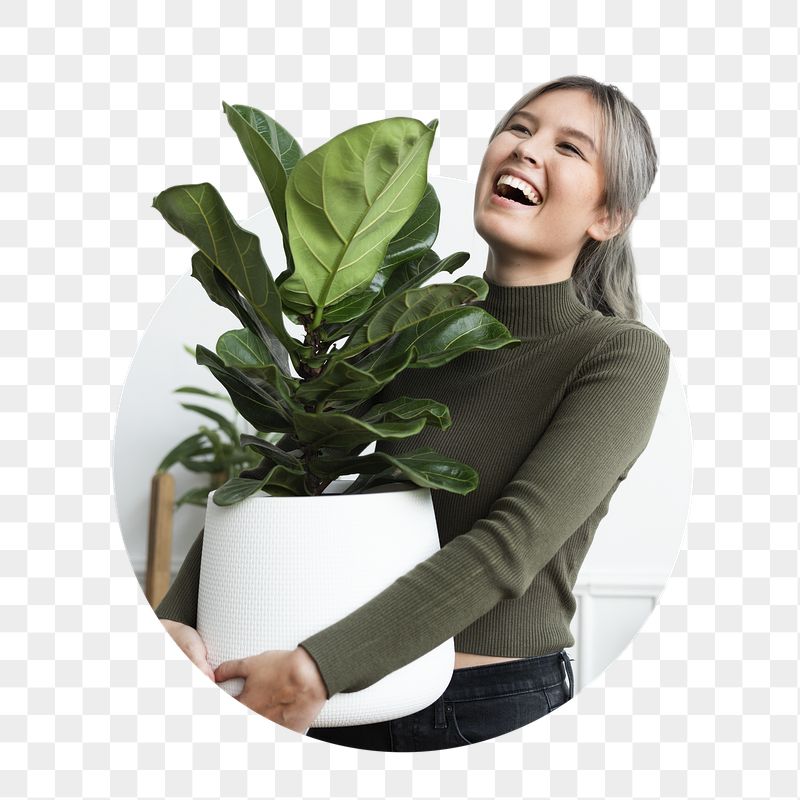 PNG plant lady holding houseplant | Free PNG - rawpixel