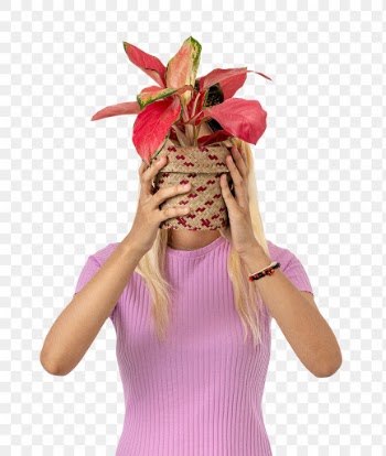 Png plant lady mockup holding potted… | Free stock illustration | High Resolution graphic