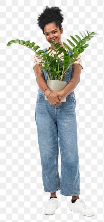 Png plant lady mockup holding potted zanzibar… | Free stock illustration | High Resolution graphic