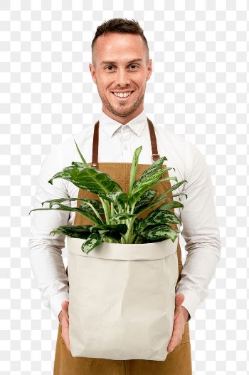 Png plant parent mockup holding potted dumb… | Free stock illustration | High Resolution graphic
