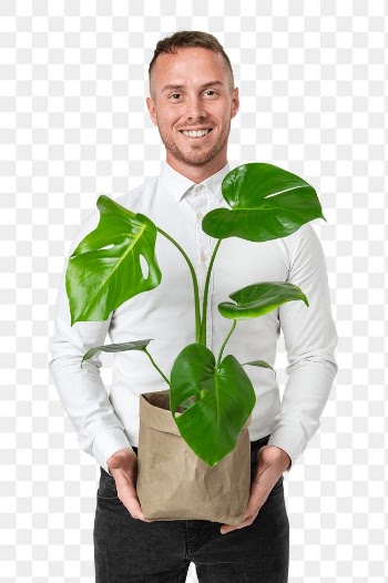 Png plant parent mockup holding potted… | Free stock illustration | High Resolution graphic
