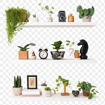 Png plant pots mockup on white shelf home… | Free stock illustration | High Resolution graphic