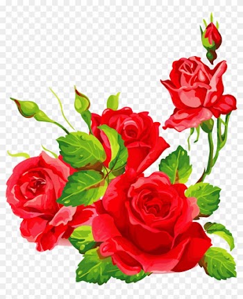 Png Клипарт "beautiful Flowers" - Garden Roses