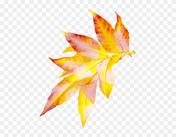 Png Клипарт "ветки, Лианы" - Leaf