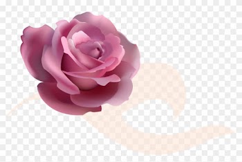 Png Клипарт "розы" - Rose