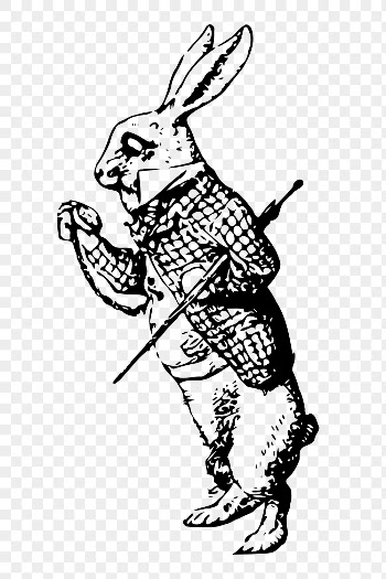 PNG rabbit, animal character clipart, | Free PNG Illustration - rawpixel