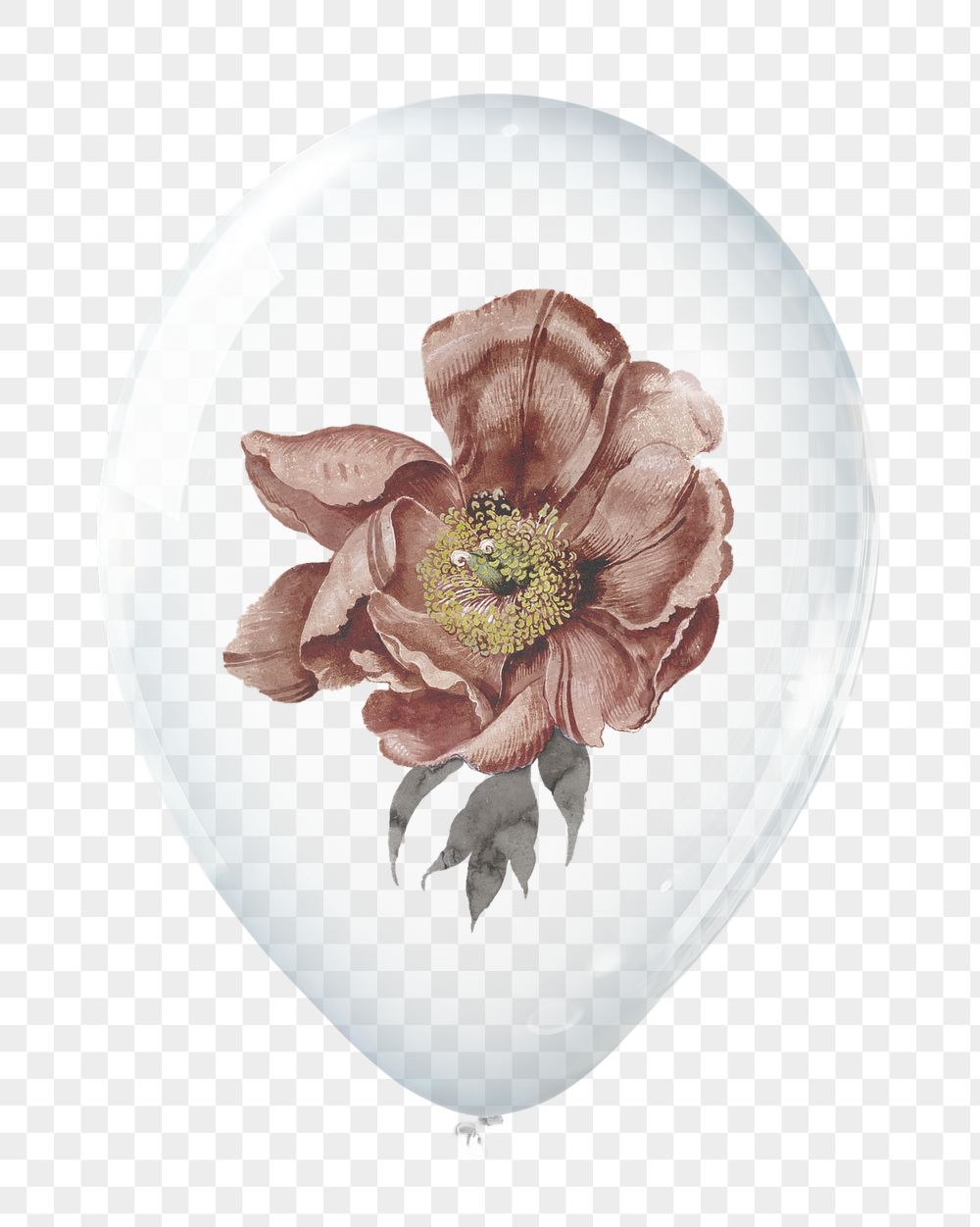 PNG red flower in clear | Free PNG - rawpixel