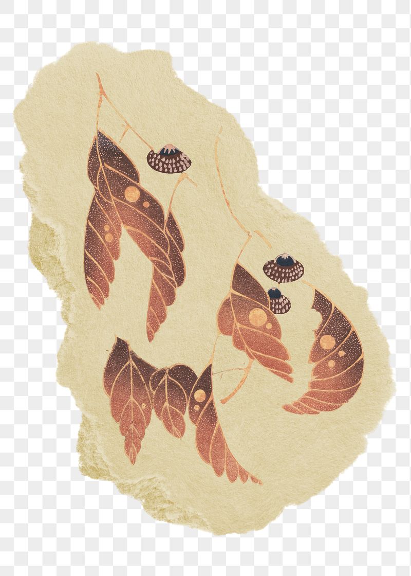Png red leaves sticker, aesthetic | Free PNG - rawpixel