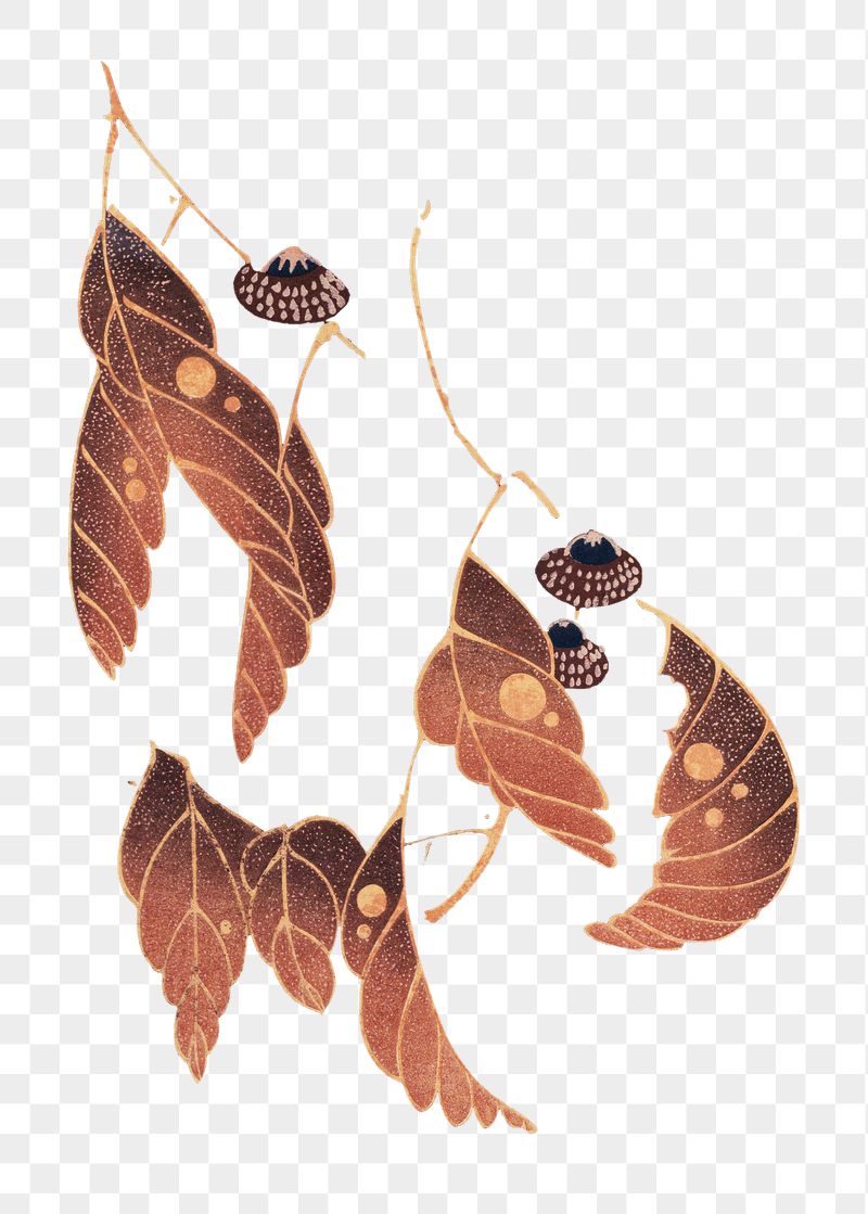 Png red leaves sticker, vintage | Free PNG - rawpixel
