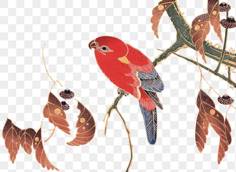 Png red parrot sticker, Ito | Free PNG - rawpixel