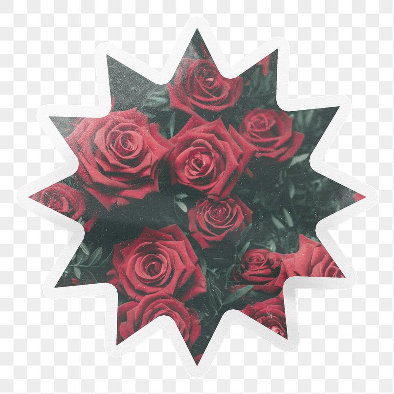 PNG red roses, garden bush | Free PNG - rawpixel