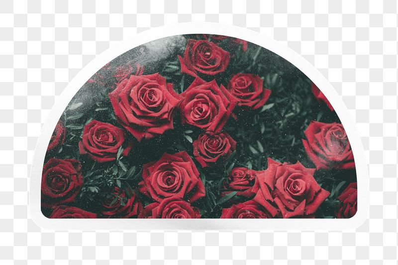 PNG red roses, garden bush | Free PNG - rawpixel