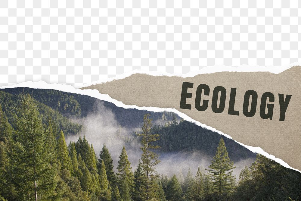 Png ripped ecology paper border, | Free PNG - rawpixel