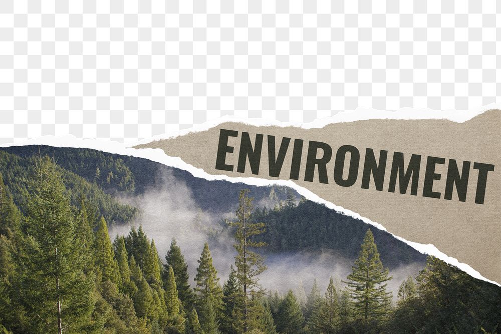 Png ripped environment paper border, | Free PNG - rawpixel