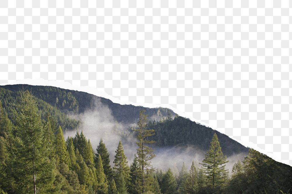 Png ripped nature paper border, | Free PNG - rawpixel