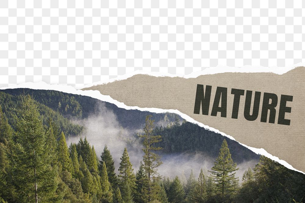 Png ripped nature paper border, | Free PNG - rawpixel