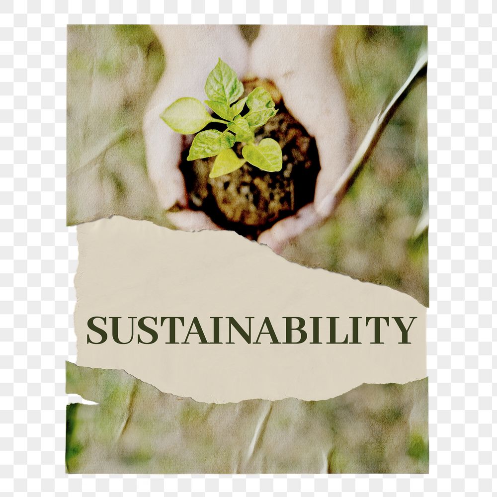 Png ripped sustainability poster, Earth | Free PNG - rawpixel