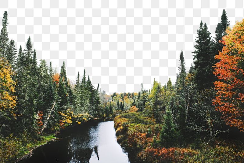 Png river among forest border | Free PNG - rawpixel