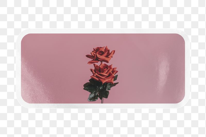 PNG rose label, aesthetic pink | Free PNG - rawpixel