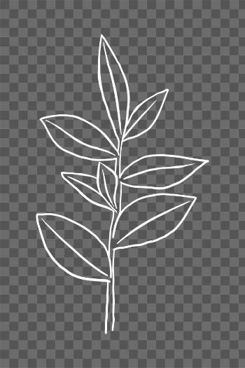PNG rubber plant sticker doodle botanical… | Free stock illustration | High Resolution graphic