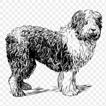 PNG sheepdog, vintage animal clipart, | Free PNG Illustration - rawpixel