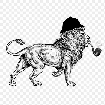 PNG Sherlock lion, animal clipart, | Free PNG Illustration - rawpixel