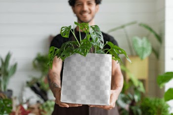 Png shopping bag mockup with plant inside eco… | Free stock illustration | High Resolution graphic