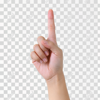 PNG Single Human Hand with Index Finger Raised
