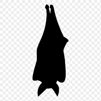 PNG sleeping bat silhouette sticker, | Free PNG - rawpixel