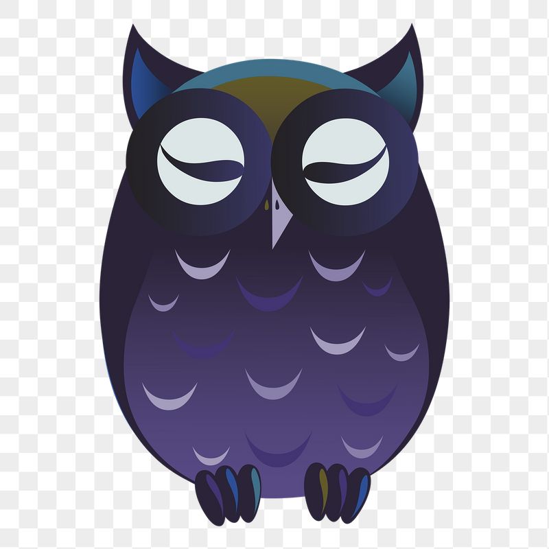 PNG sleeping owl, animal sticker, | Free PNG - rawpixel