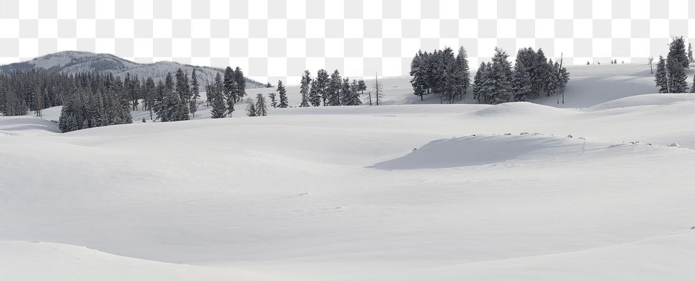 PNG snowy forest border, winter | Free PNG - rawpixel