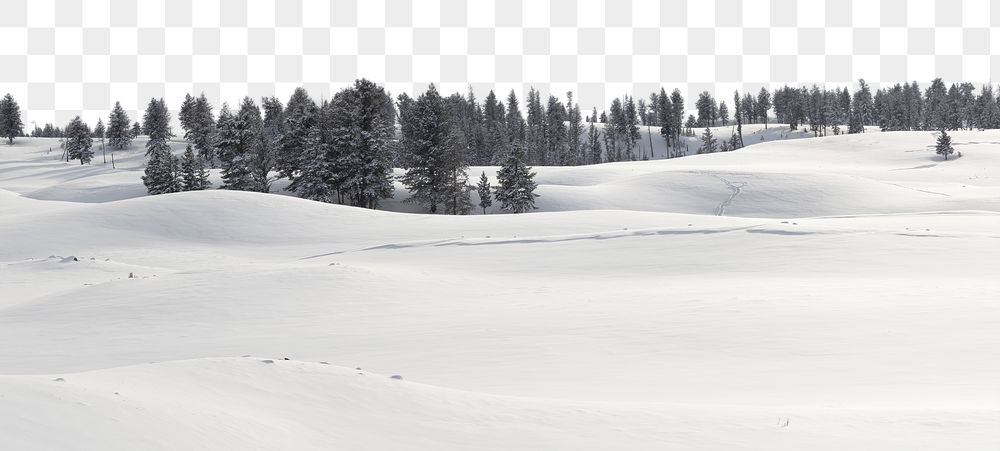 PNG snowy forest border, winter | Free PNG - rawpixel