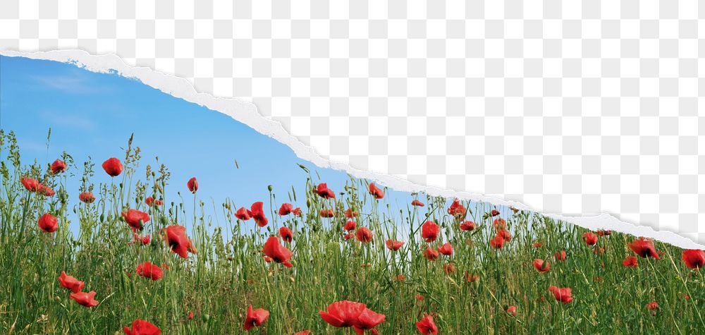 PNG spring flower border, ripped | Free PNG - rawpixel