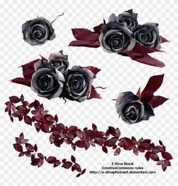 Png Stock Black Roses By E-dinaphotoart - Black Roses Png