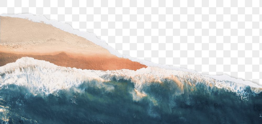 PNG summer coast border, ripped | Free PNG - rawpixel