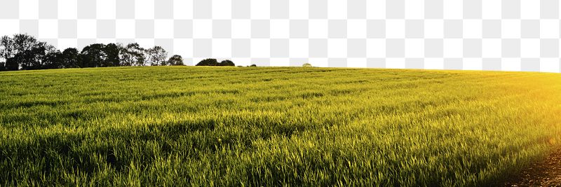 Png sunset above farmland border | Free PNG - rawpixel