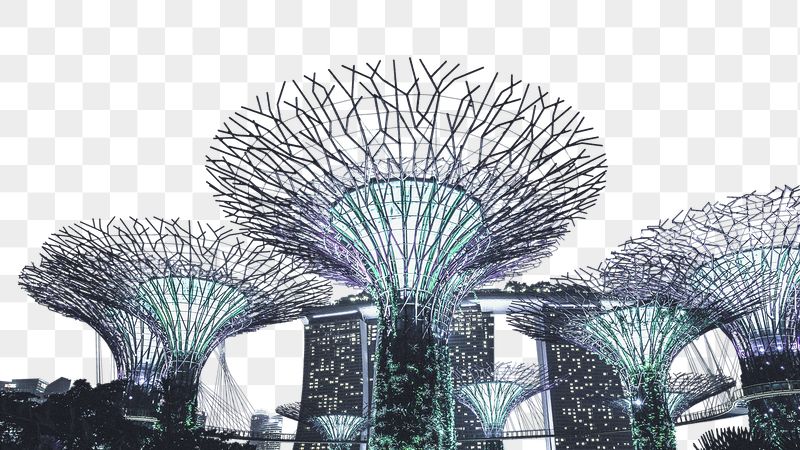 Png Supertree Grove border sticker, | Free PNG - rawpixel