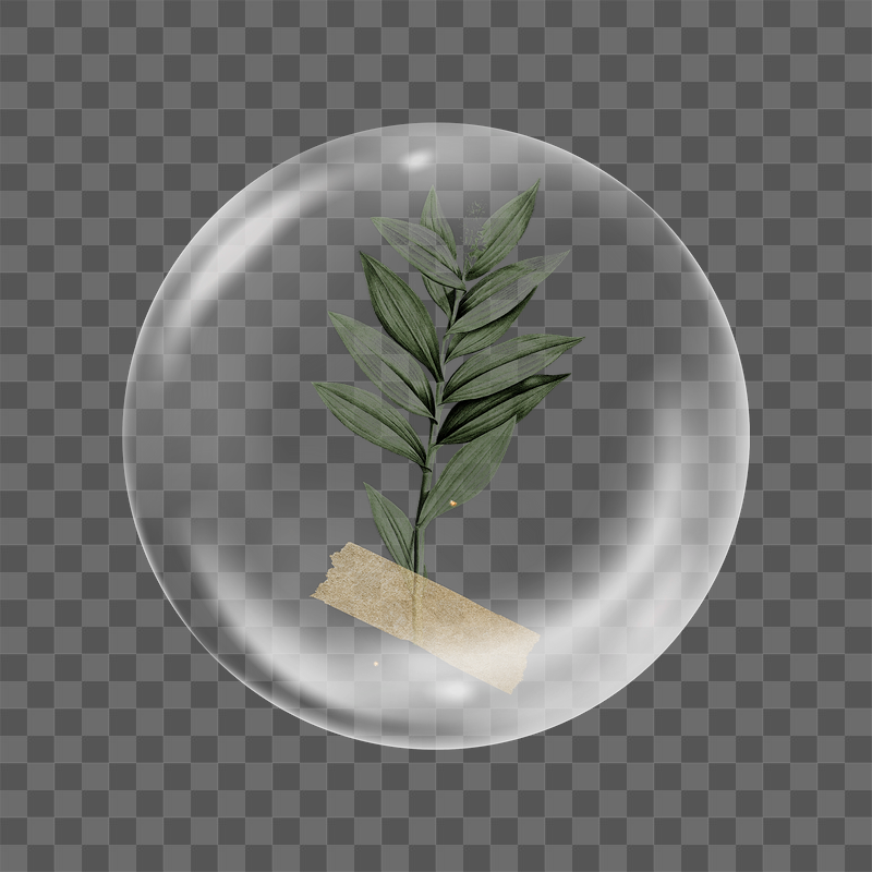 PNG taped tropical leaves sticker, | Free PNG - rawpixel