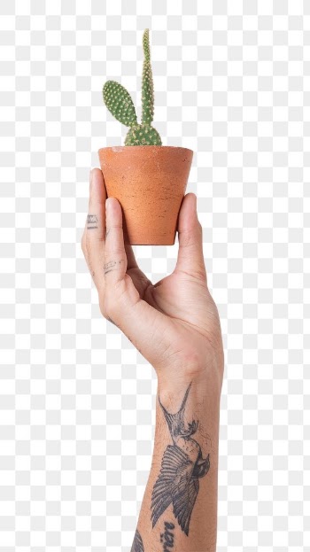 Png tattooed hand mockup holding potted bunny… | Free stock illustration | High Resolution graphic