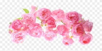 Png Клипарт Цветы - Texture Roses Png