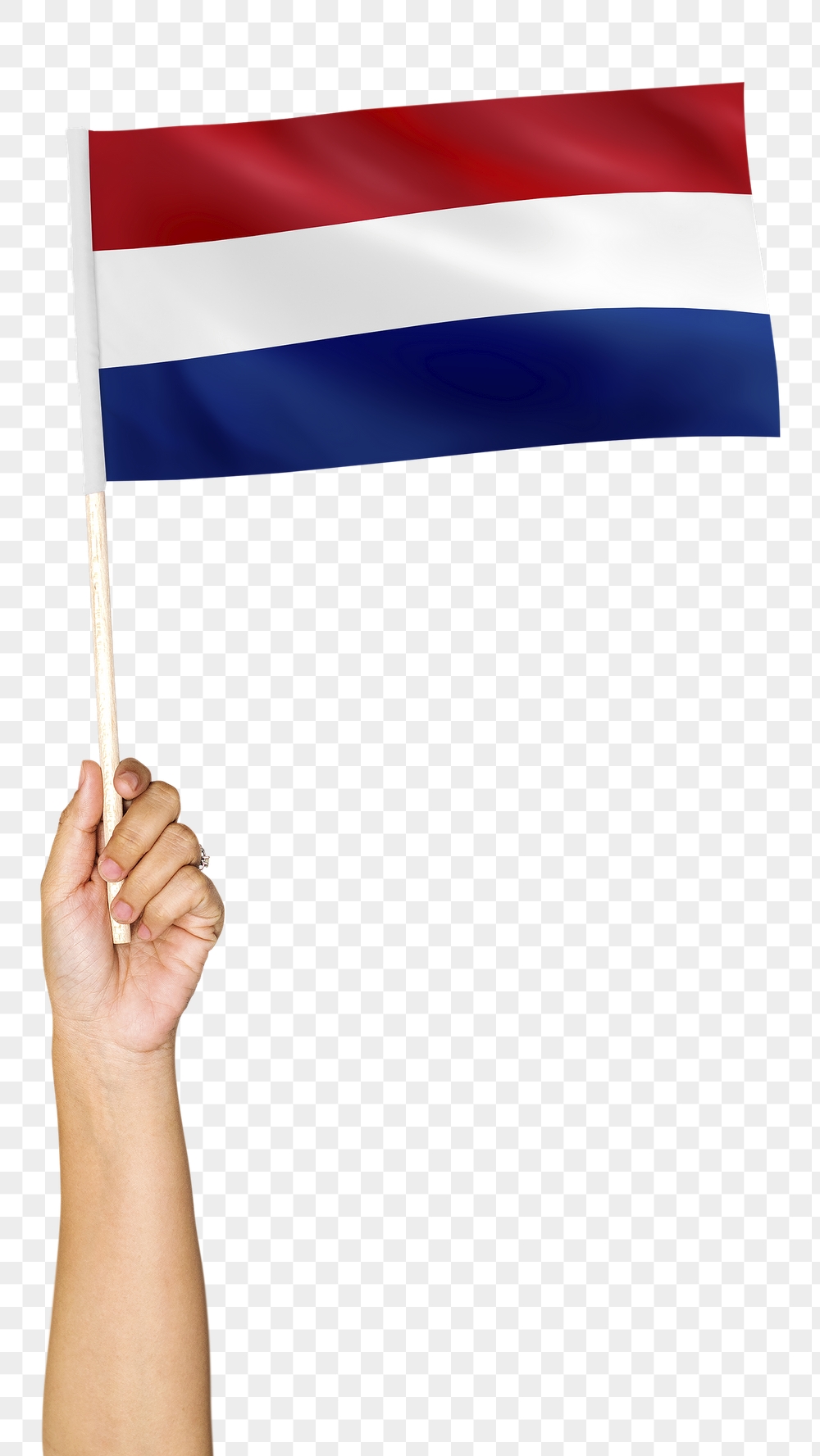 Png the Netherlands' flag in hand | Free PNG - rawpixel