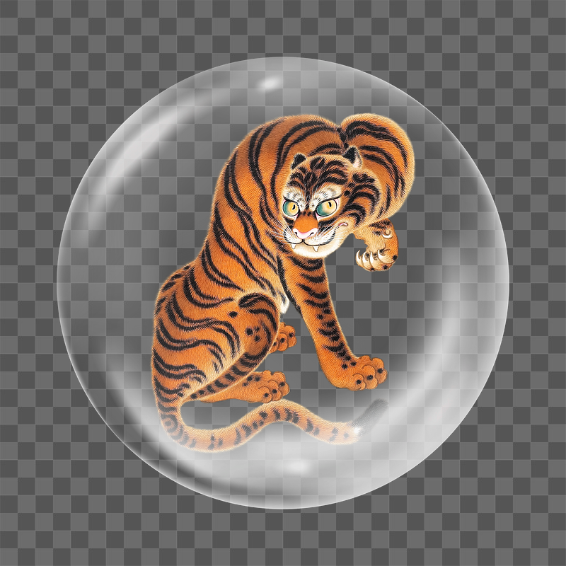 Png tiger cleaning its paw | Free PNG - rawpixel