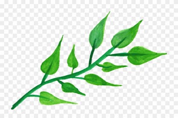 Png Transparent Leaf Watercolor Png